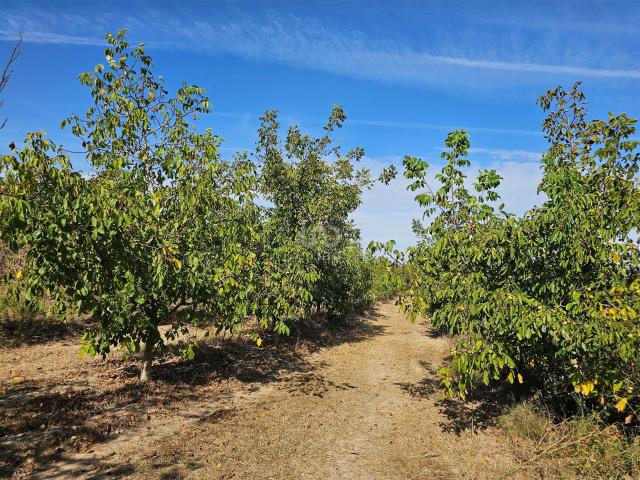 Casa en venta en Terra Alta, Catalunya