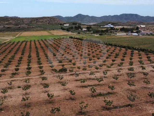 Casa en venta en Virgen de las Huertas, Alto Guadalentín