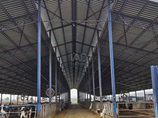 Casa en venta en Lucillos, Castilla-La Mancha