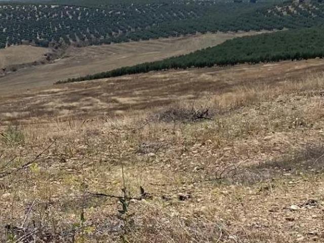 Terreno en venta en Lopera, Andalucía