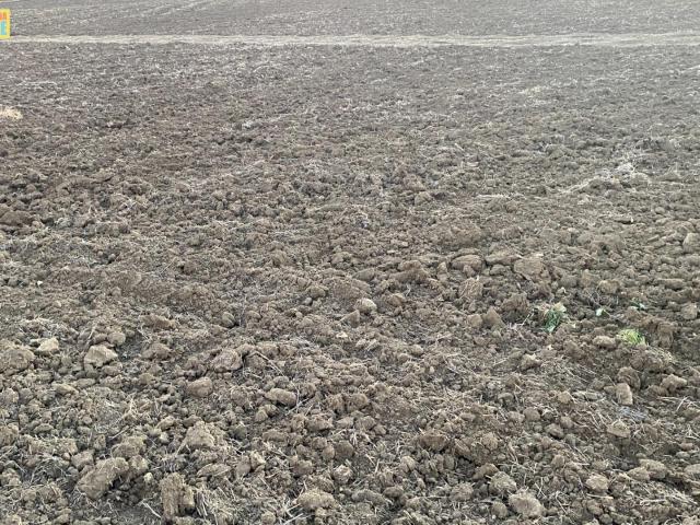 Terreno en venta en Valenzuela, Andalucía