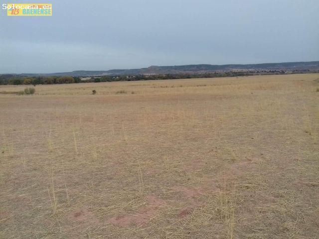 Local Comercial en venta en Vianos, Castilla-La Mancha