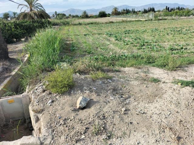 Terreno en venta en el Baix Segura / La Vega Baja, Valencia