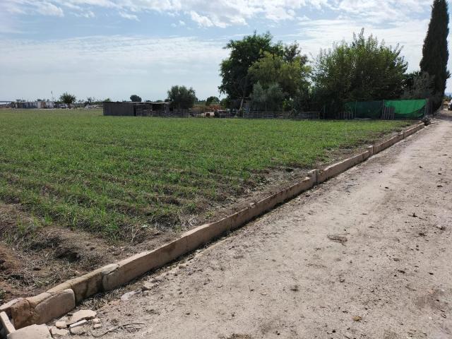 Terreno en venta en el Baix Segura / La Vega Baja, Valencia