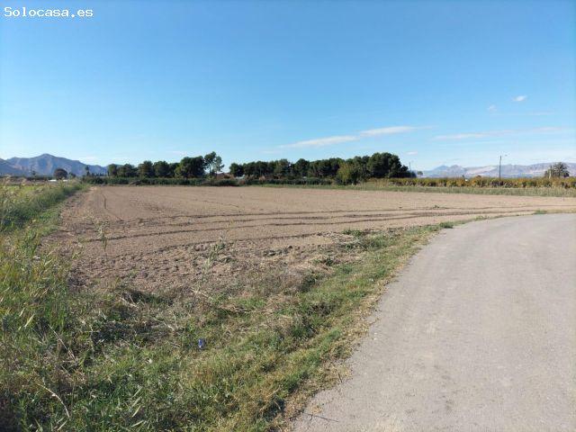 Local Comercial en venta en el Baix Segura / La Vega Baja, Valencia