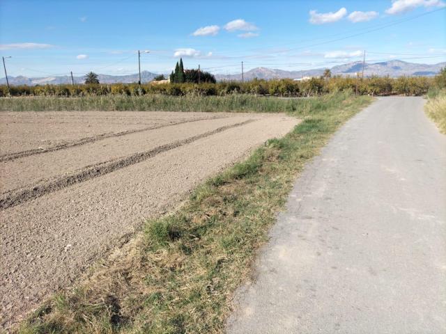 Terreno en venta en el Baix Segura / La Vega Baja, Valencia