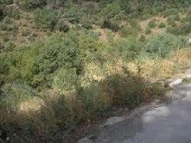 Terreno en venta en Colmenar Del Arroyo Terreno en venta en Colmenar Del Arroyo