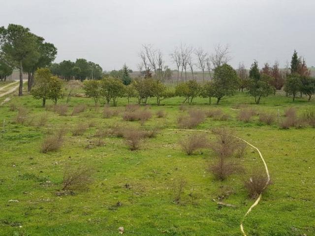 Terreno en venta en Villanueva Del Pardillo