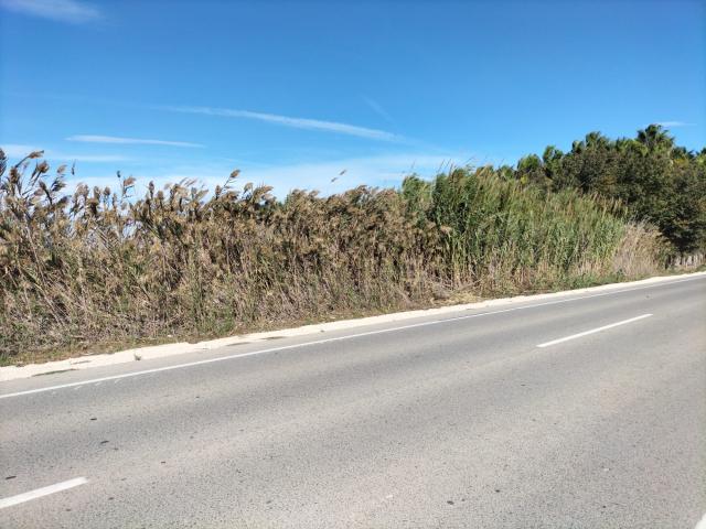 Terreno en venta en la Foia, el Baix Vinalopó