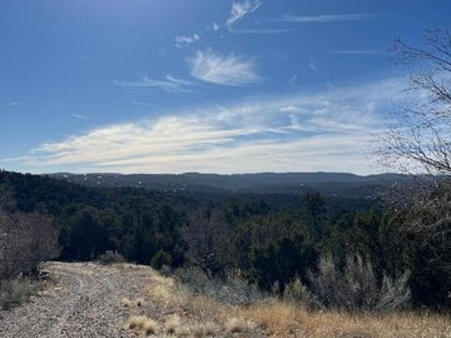 Land for sale in Cedar Crest, New Mexico