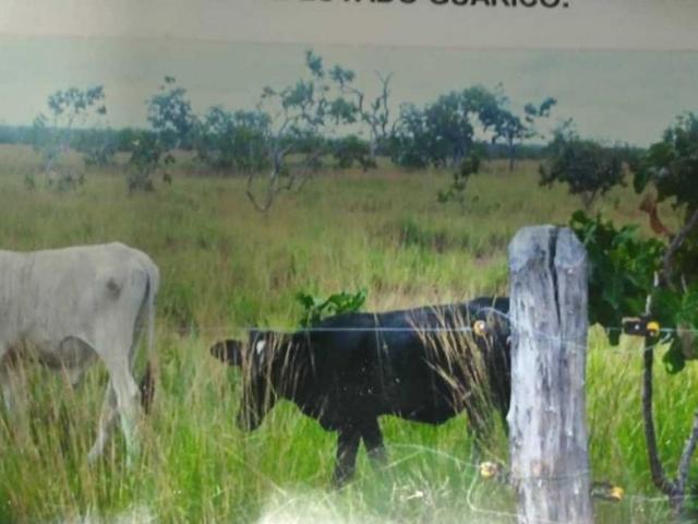 Finca en venta en Ribero, Sucre