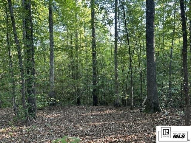 Land for sale in Marion, Louisiana