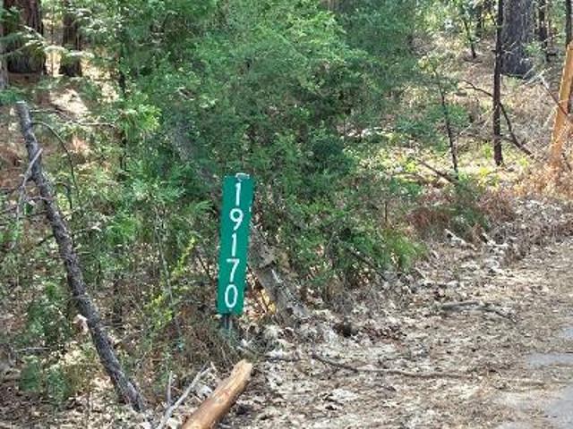 House for sale in Grass Valley