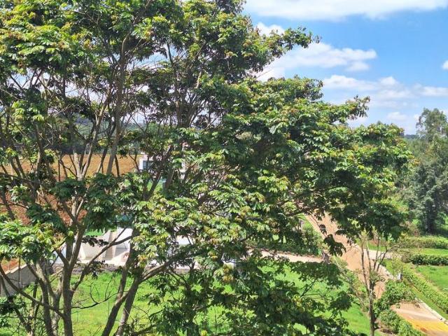 Land for sale in Limuru, Tigoni