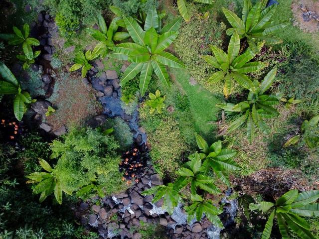 Land for sale in Ngecha Tigoni, Kiambu