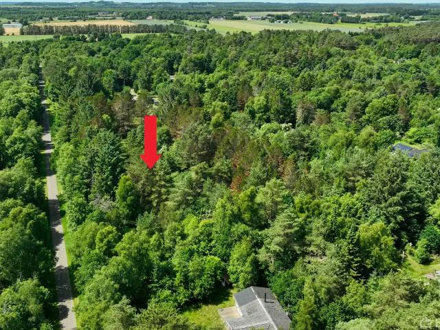 Ejendom til salg i Brønderslev-Dronninglund