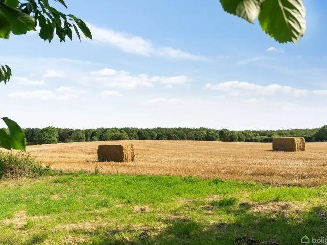 Ejendom til salg i Tranekær, Langeland