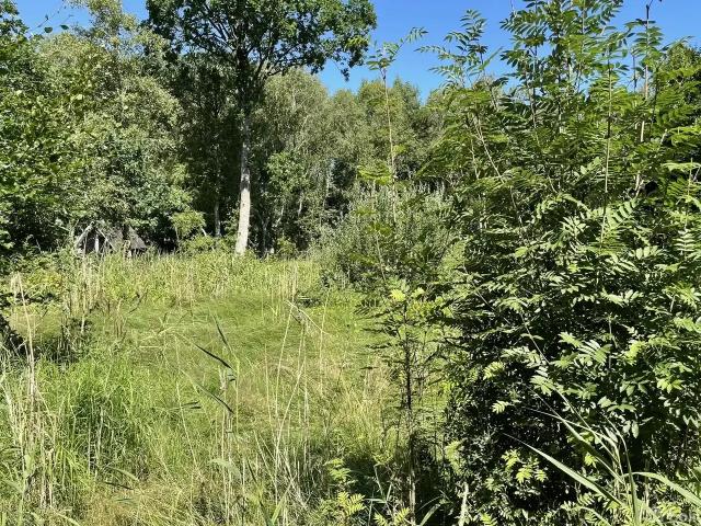 Ejendom til salg i Brønderslev-Dronninglund