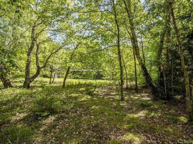 Ejendom til salg i Jægerspris, Brøndby