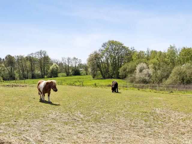 Landejendom til salg i Assens