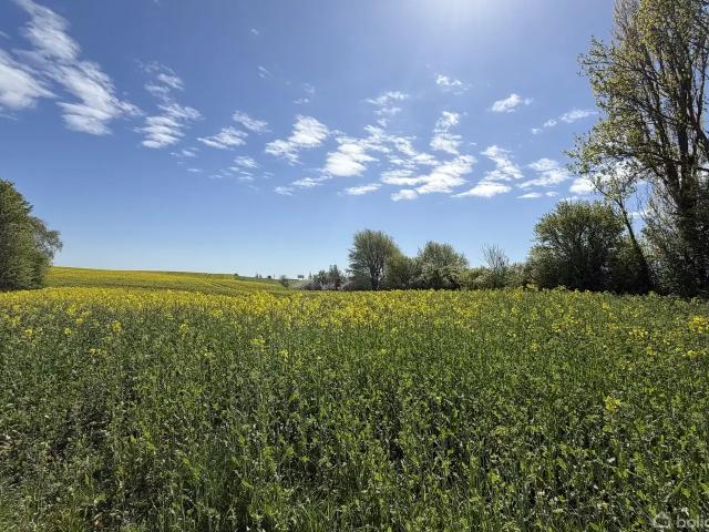 Ejendom til salg i Kalundborg
