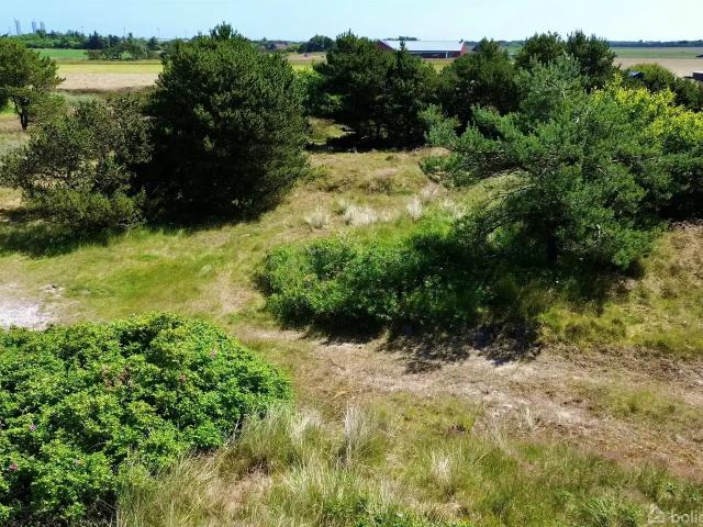 Ejendom til salg i Fanø