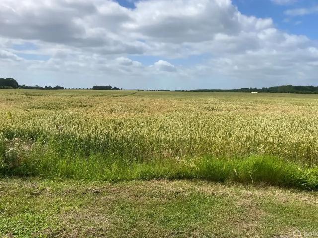 Ejendom til salg i Sandby, Lolland