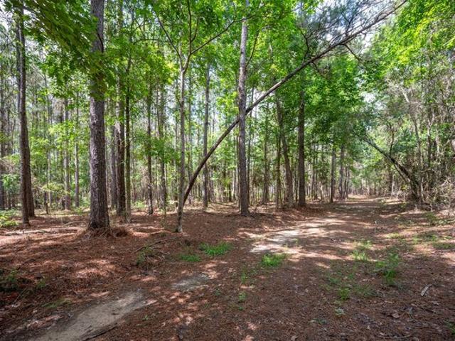 Land for sale in Woodville, Tyler County