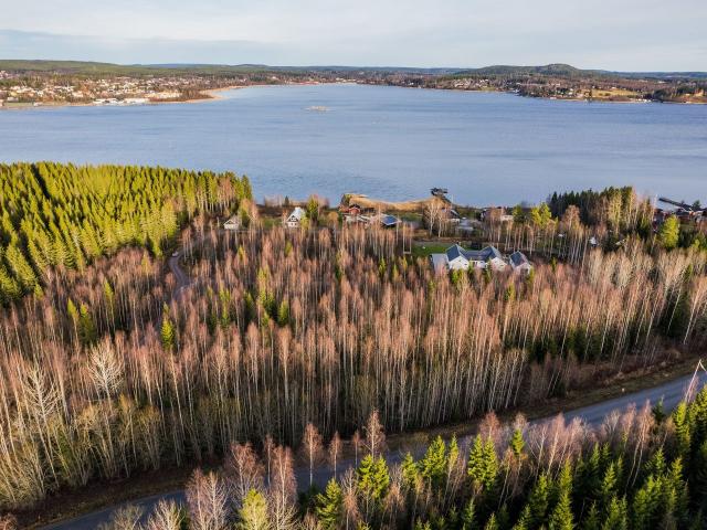 Tomt till salu i Nötbolandet, Själevads distrikt