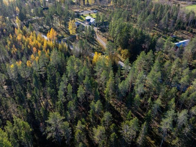 Tomt till salu i Sillviken, Innertavle