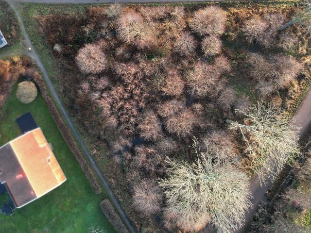 Tomt till salu i Drottningskär, Blekinge län