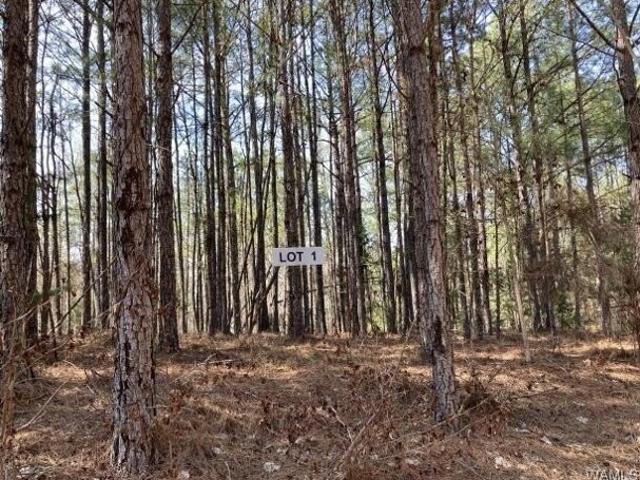 Land for sale in Northport