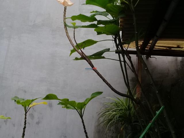 Bất động sản cho thuê tại Hà Nội