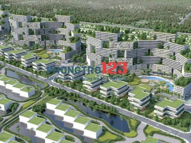Bất động sản cho thuê tại Hồ Chí Minh