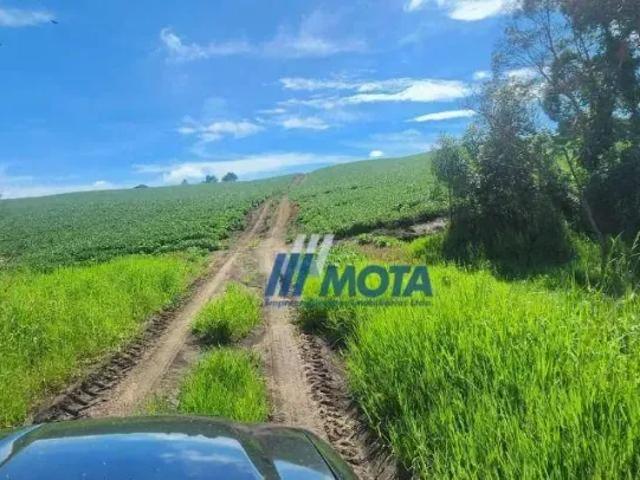 Fazenda venda em Região Geográfica Imediata de Curitiba, Região Metropolitana de Curitiba