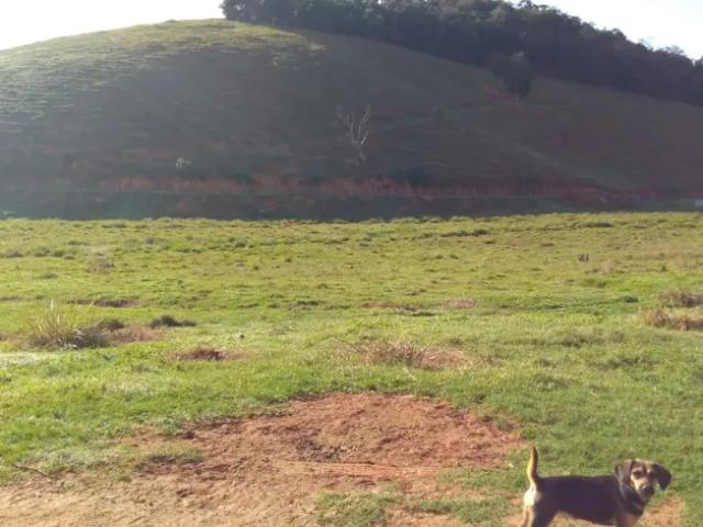 Fazenda venda em Região Geográfica Imediata de Cachoeiro de Itapemirim, Mimoso do Sul