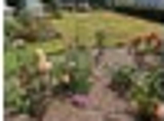 Apartment for rent in Timaru, Canterbury