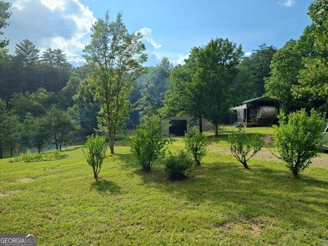Land for sale in Blairsville