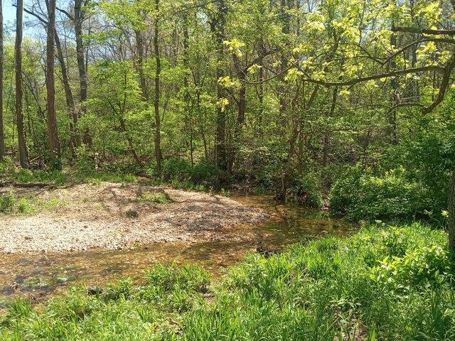 Land for sale in Tunas, Missouri