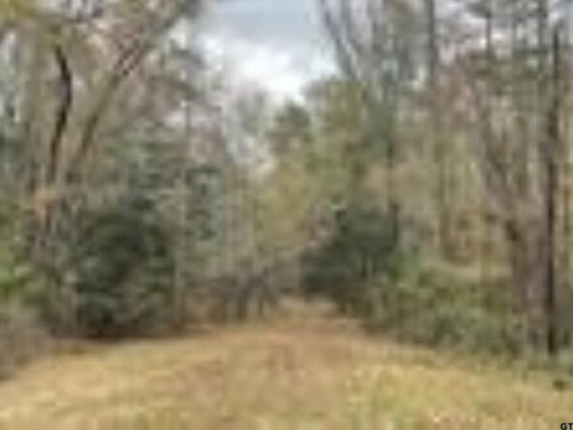 Land for sale in Flint