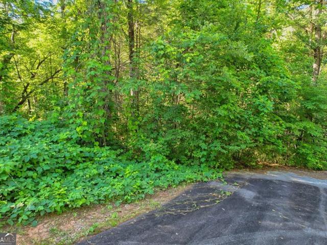 Land for sale in Clayton, Georgia