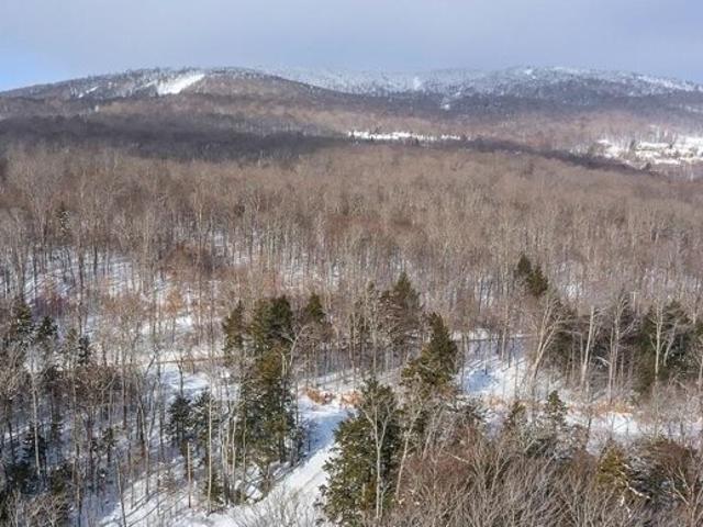 Land for sale in Ludlow, Vermont