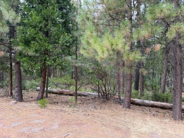 Land for sale in Burney, Shasta County