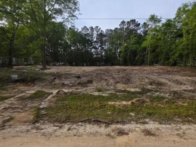 Land for sale in Orangeburg