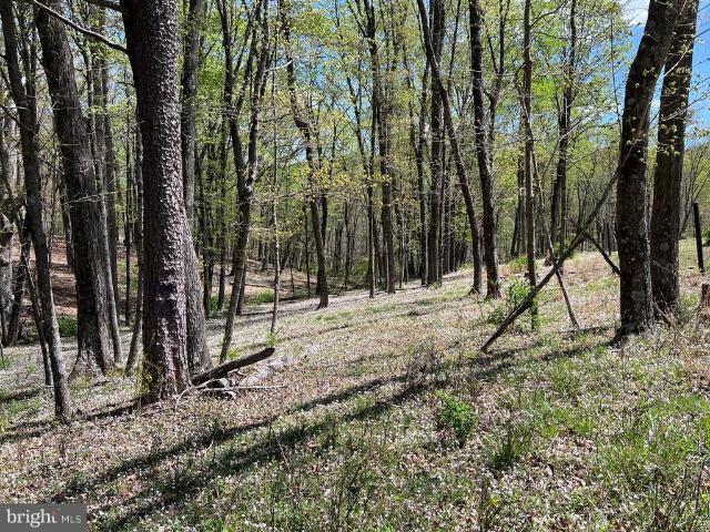 Land for sale in Berkeley Springs, West Virginia