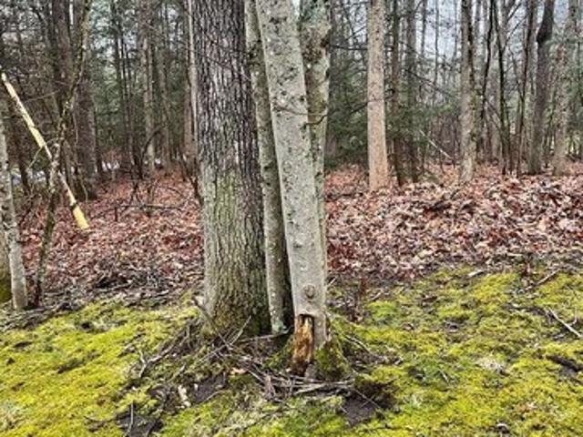 Land for sale in Beckley, West Virginia