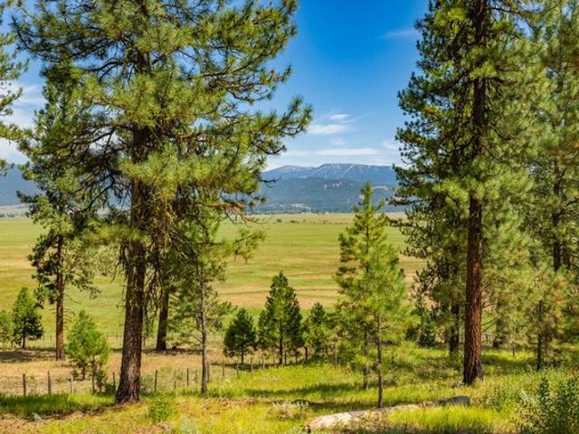 Land for sale in New Meadows, Idaho