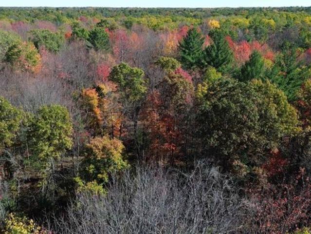 Land for sale in Prescott, Michigan