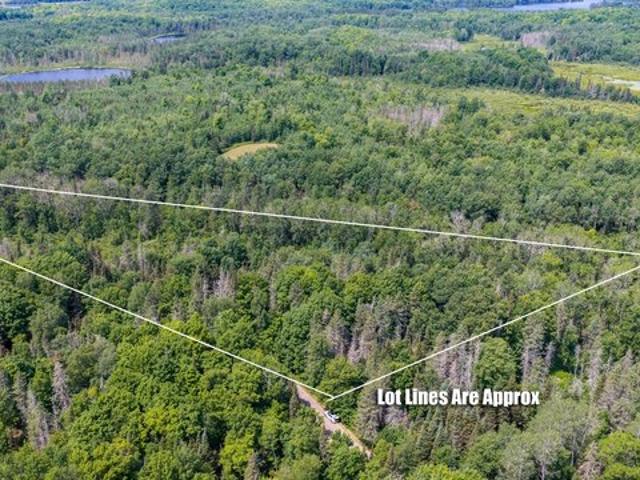 Land for sale in Vilas, Wisconsin