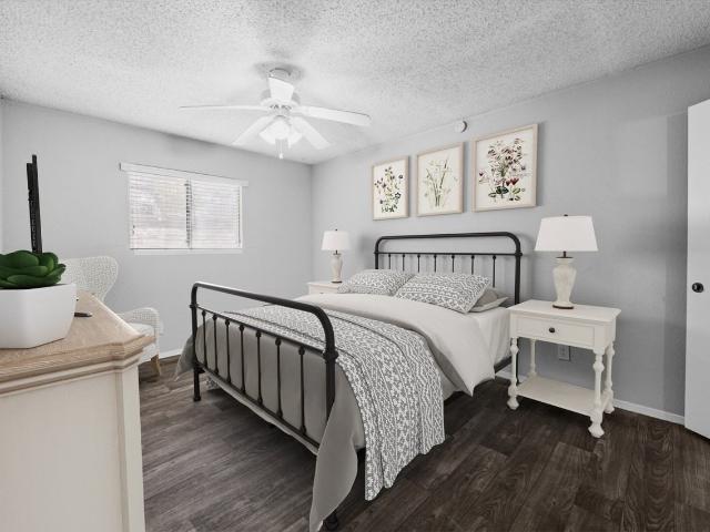 Apartment for rent in Austin, Texas